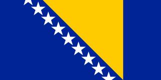 Bosnia and Herzegovina team