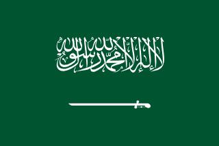 Saudi Arabia team